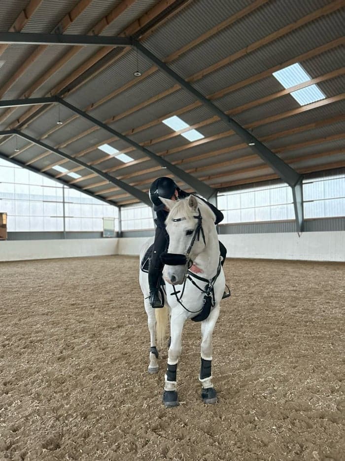 Media 2 av Maxad D ponny tillsalu