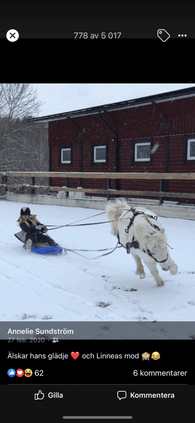 Inlägg 8 av Allround med titeln Bus på banan 