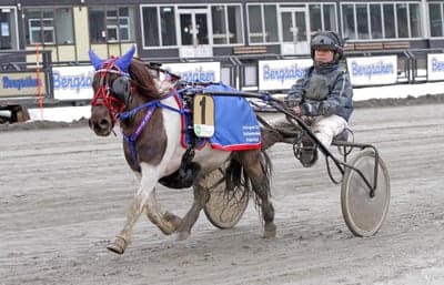 Inlägg 110 av Trav med titeln Ponnytrav 