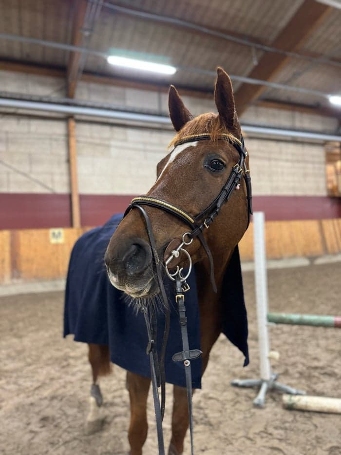 Media 5 av Dundersnällt och fint swb sto 