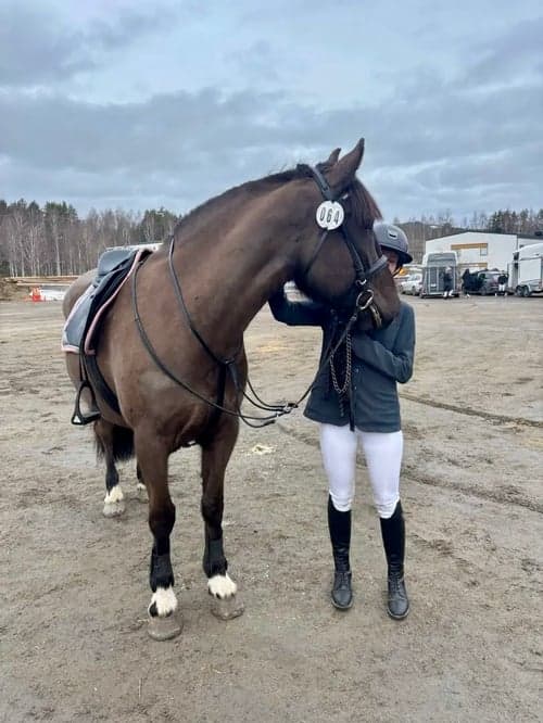 Bild av Riktigt fin hoppglad ridhäst säljes