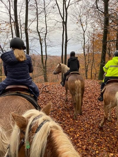 Inlägg 58 av Allround