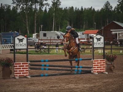 Hopptävling 