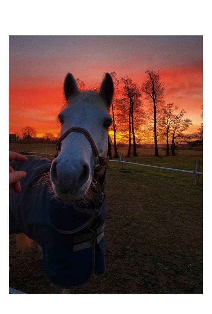 Image 1 of Jeans Delight