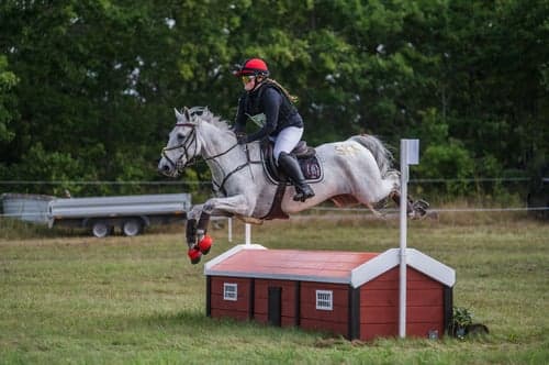 Bild av 🌟Oslipad diamant för de högsta klasserna🌟