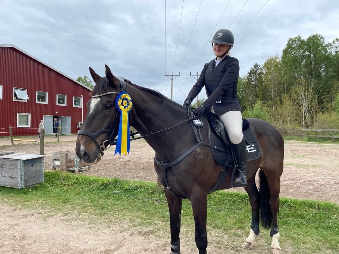 Image 1 of John Silver