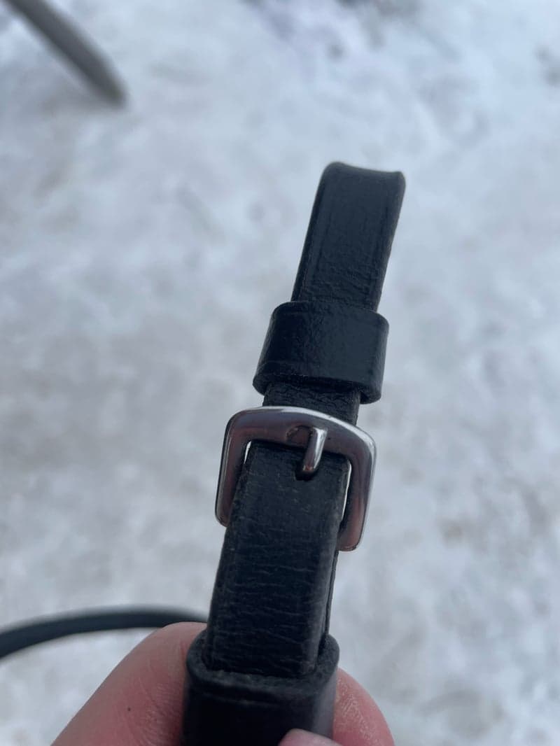 Bild 3 av Svart träns