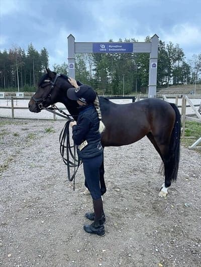 Inlägg 3 av Dressyr