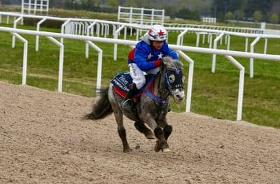 Inlägg 10 av Ponnygalopp med titeln Ponnygalopp 