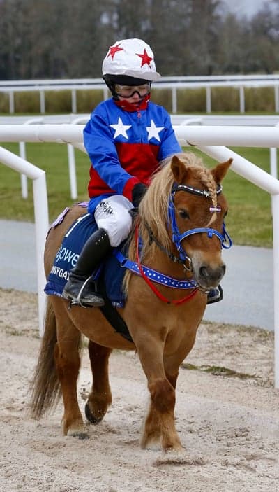 Inlägg 48 av Allround med titeln Ponnygalopp 