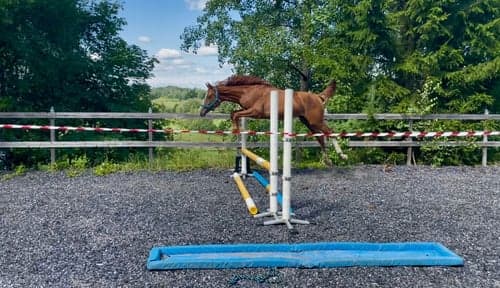 Image of Joinville e. Janeiro de Bieville f.2024 hopp/fälttävlan