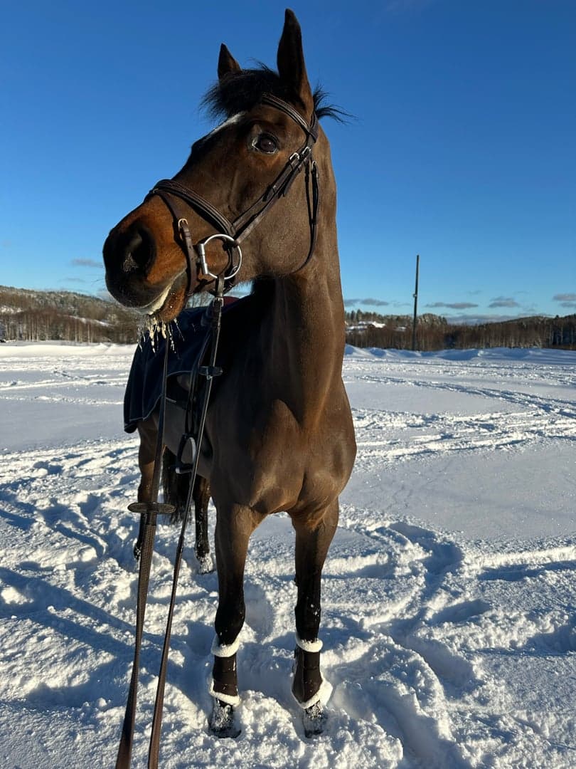 Bild 1 av Catch my heart