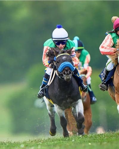 Inlägg 9 av Galopp med titeln 230530