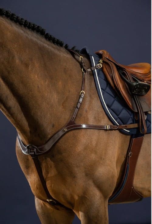 Bild av Dyon 5 punkt brösta