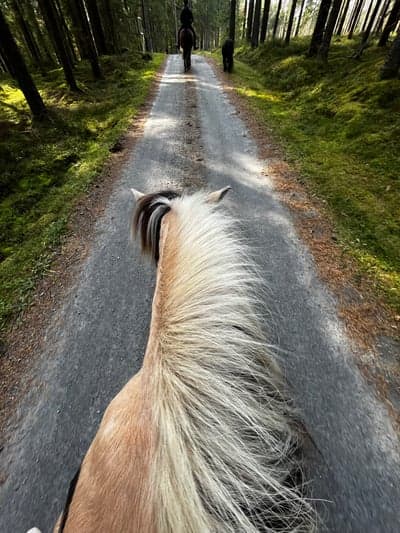 Inlägg 45 av Allround