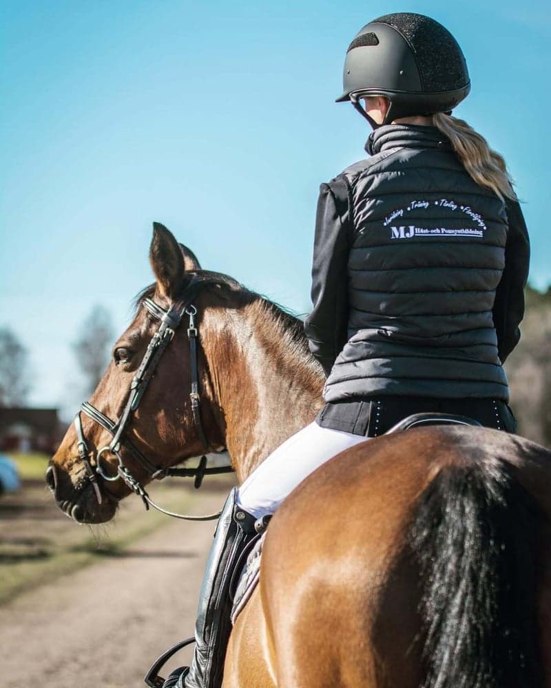 Bild 2 av Försäljning av ponny eller häst inkl. uppstallning