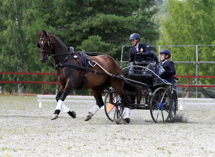 Media 1 av Quality of Life