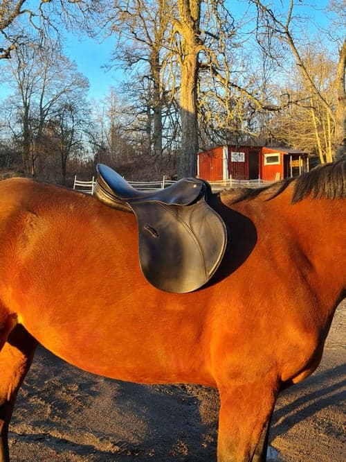 Bild av Passier Hannover sadel