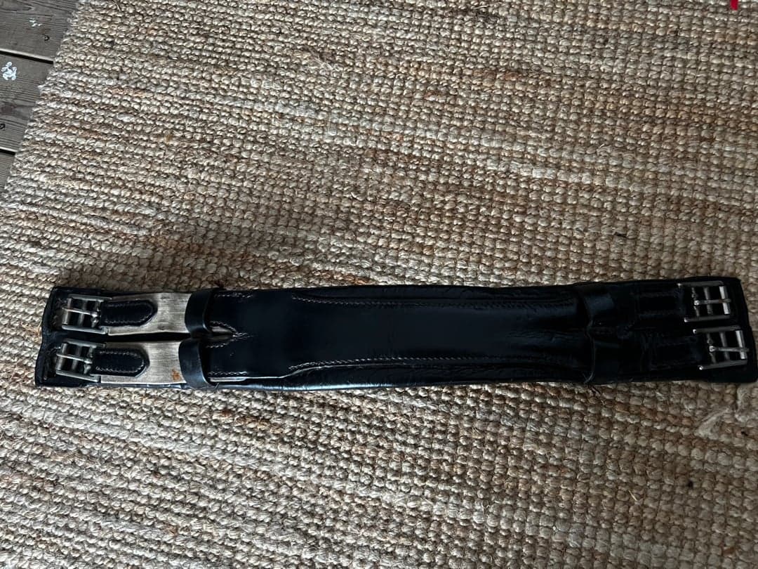 Bild 1 av Dressyrgjord