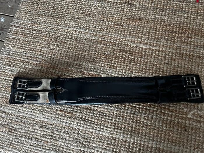 Media 1 av Dressyrgjord