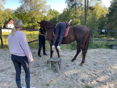 Inlägg 7 av Halvblod med titeln Salley