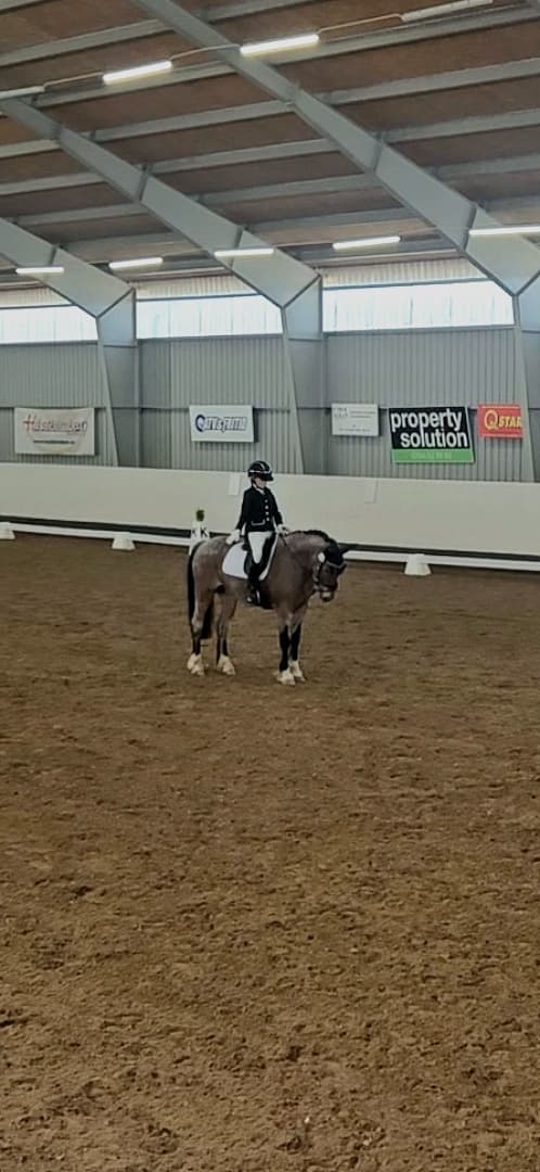 Media 13 av Jammi Dodger