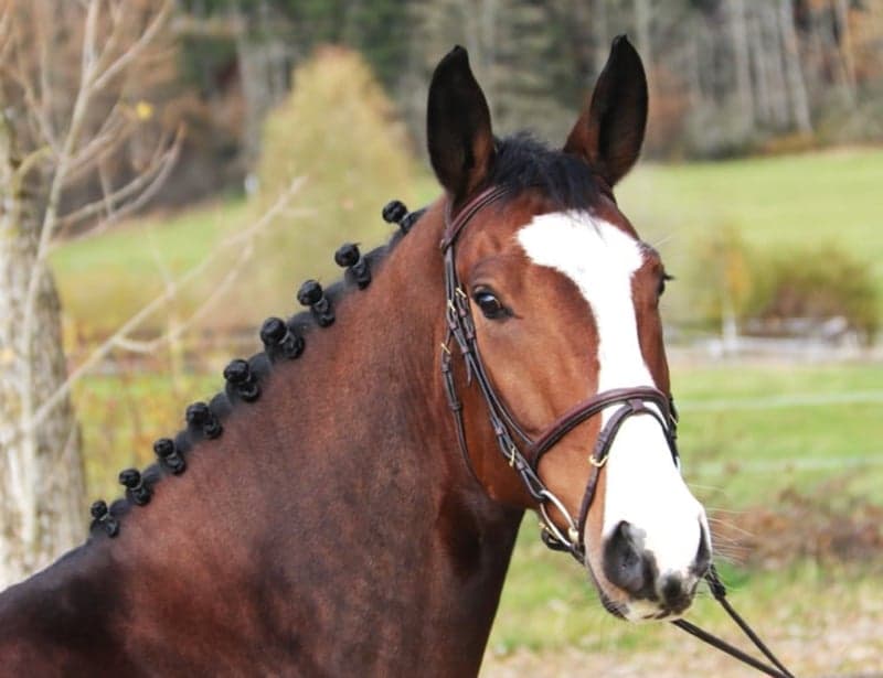 Bild 3 av Herrlicher Sportler mit grosser Zukunft