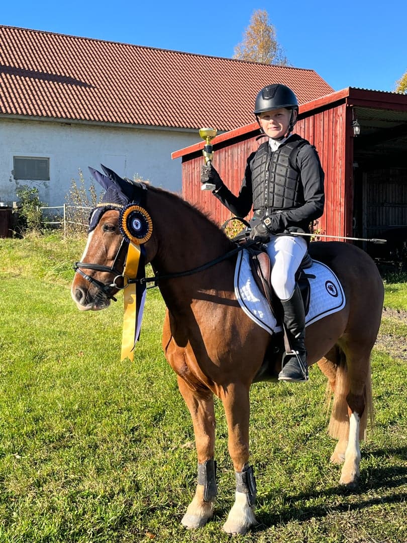 Bild 1 av Foxhall Buster Brady