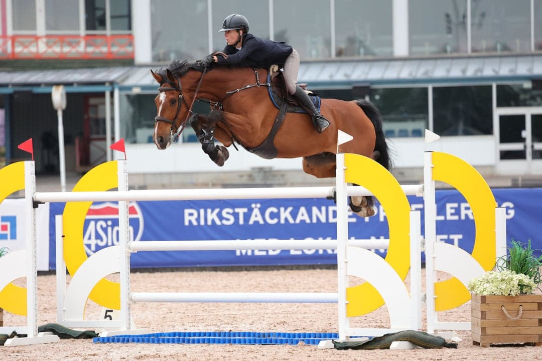 Bild 1 av Svårklasshäst