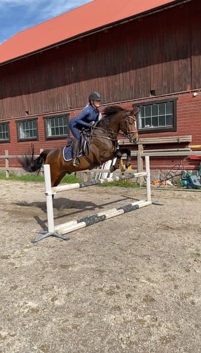 Inlägg 115 av Allround med titeln Skutt med snabbmakaronen 🥰