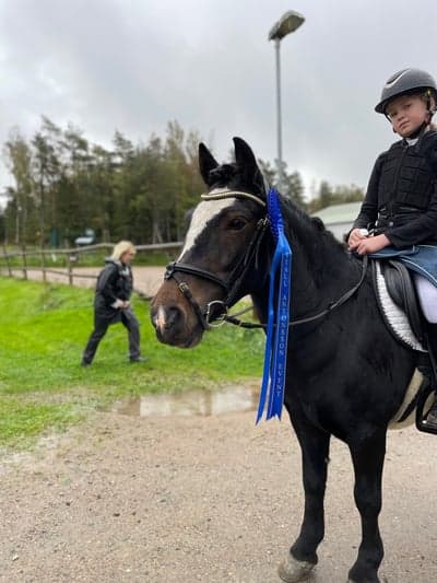 Inlägg 147 av Hoppning