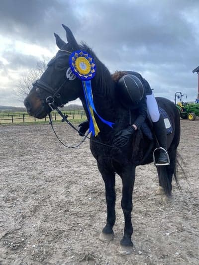 Inlägg 7 av Hoppning