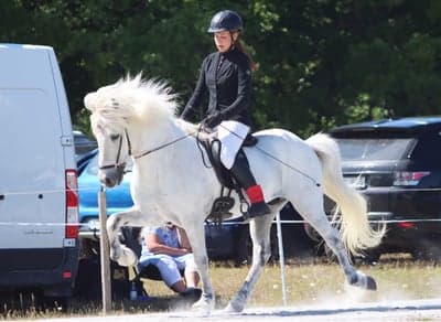 Inlägg 25 av Island