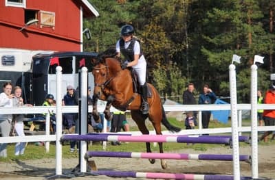 Inlägg 7 av Allround med titeln Champions Of The Amateurs 2024