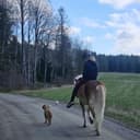 Profilbild av Essie J.