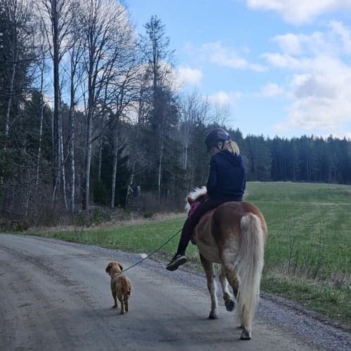 Profilbild av Essie Jeppsson