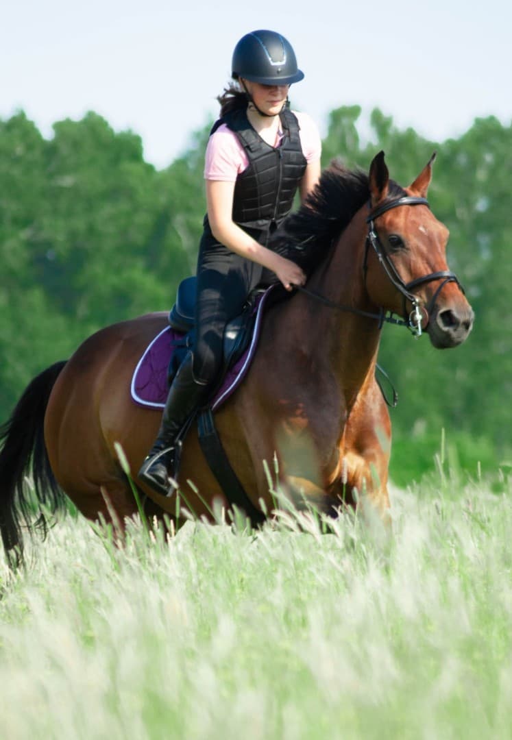 Image 1 of Skorphults Indiana