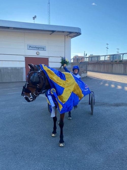 Profilbild av Klara Daniel