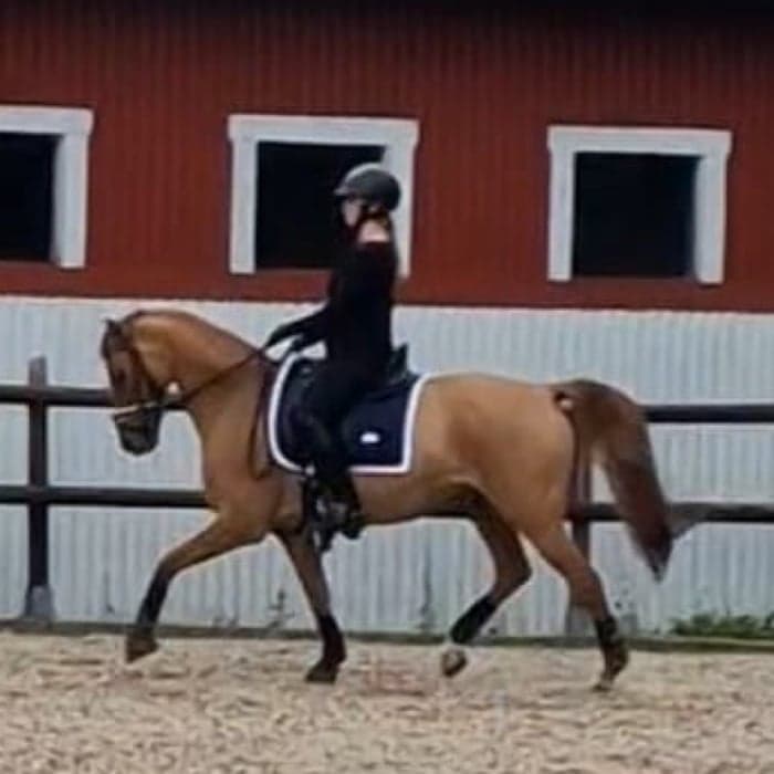 Media 1 av Magic Zoe Si