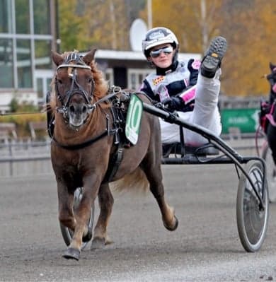 Bild 1 av Blixten McQueen