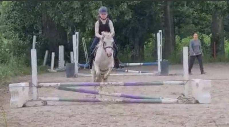 Bild 3 av Love