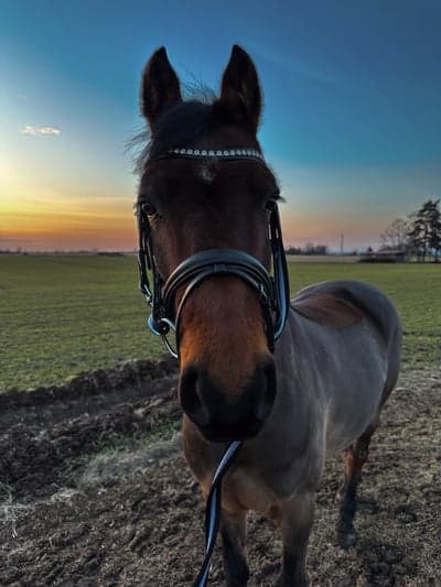 Inlägg 93 av Allround