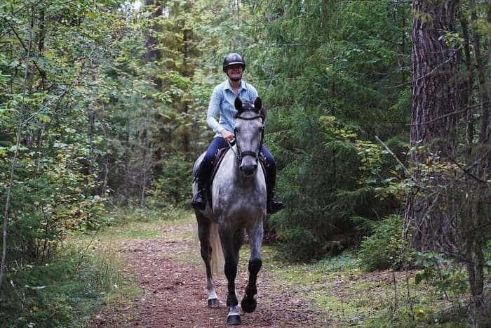 Media 7 av Inridning/tillridning – från D-ponny till häst