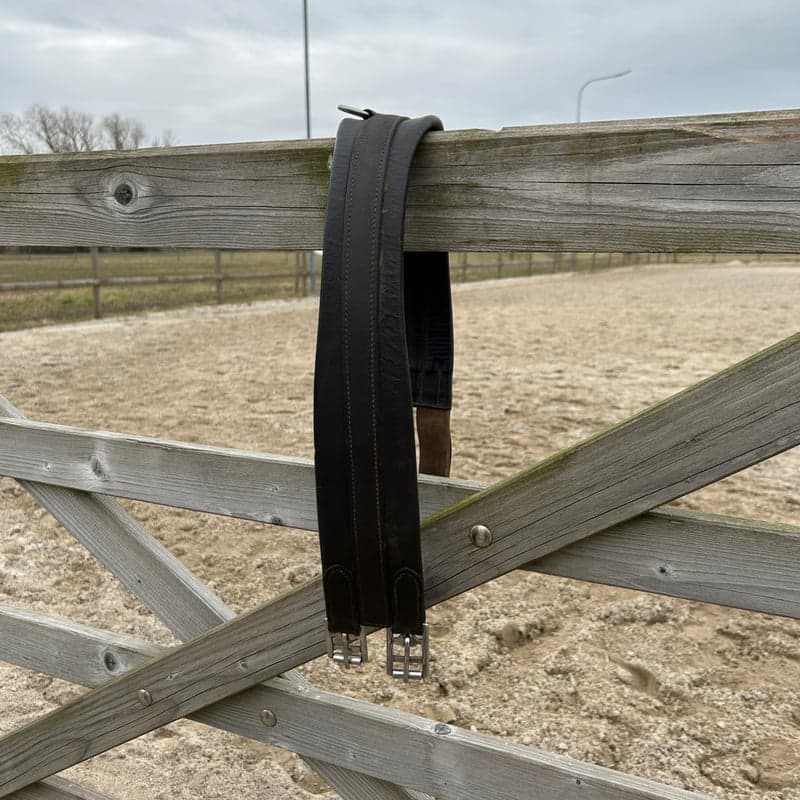 Bild 2 av Brun sadelgjord