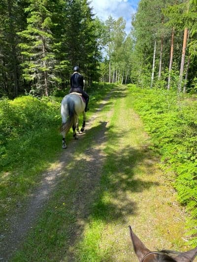 Inlägg 14 av Allround