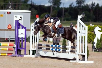 Inlägg 9 av Allround med titeln Hopptävling 