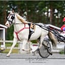 Profilbild av Elvira S.