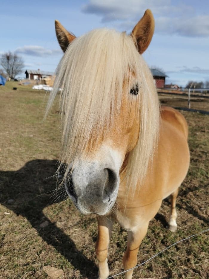 Media 10 av Trevlig kille 