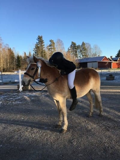 Inlägg 114 av Allround