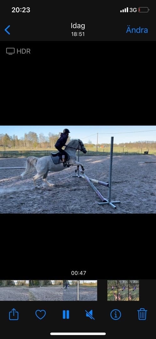 Bild 3 av Rea